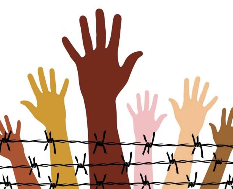 Hakların Sessizliği Kime Yarar Sinem Siklon