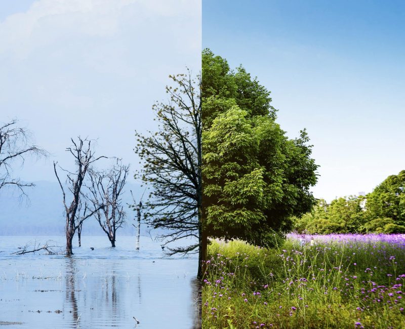 climate-change-concept-collage