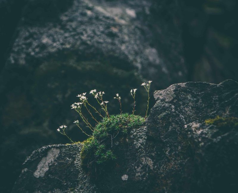 sea-coast-water-nature-rock-ocean-3240-pxhere.com